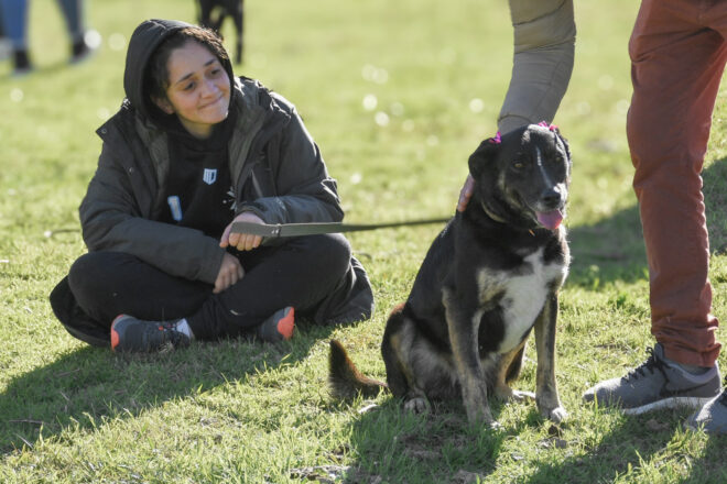 Bienestar animal: este viernes 20 de marzo habrá guardia de castraciones caninas