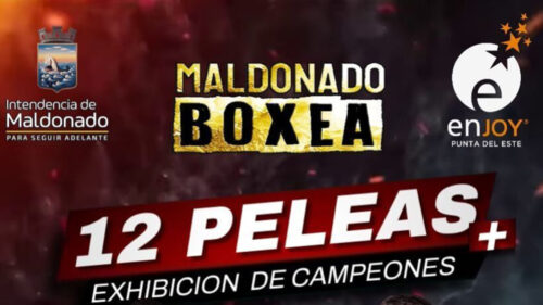 Vuelve Maldonado boxea en su edición 2026