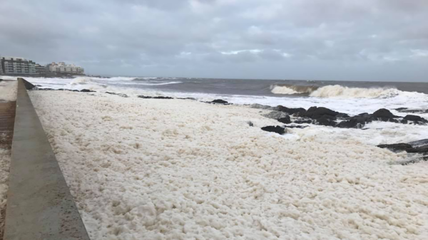 CECOED se encuentra alerta para mitigar riesgos por llegada de vientos fuertes