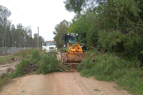 Temporal en zona oeste; 20 intervenciones desde Solís hasta Ocean Park y Sauce de Portezuelo con 3 cuadrillas del equipo de Vialidad Rural