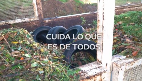 Cajas de podas: IDM exhorta hacer buen uso de estos contenedores en pos de la limpieza y para evitar multas