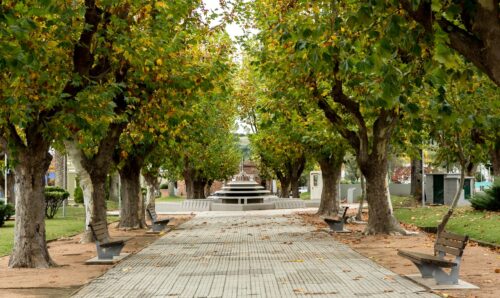 Hasta este miércoles continúan las anotaciones a los nuevos cursos gratuitos en Aiguá