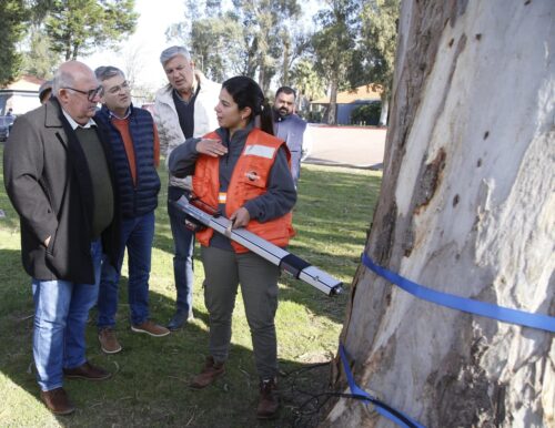 Primera Intendencia en adquirir tecnología de punta para optimizar la evaluación no invasiva del arbolado