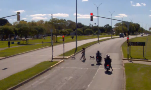 Motos y no respeto a la luz roja, principales infracciones de la semana